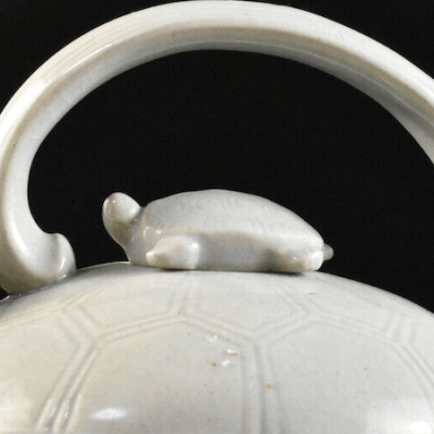 Fushina Tortoise Kyusu